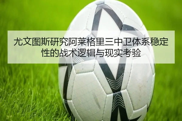 img_1781380352867_1389_1_942.jpg