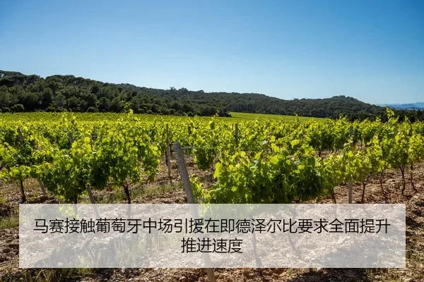 马赛接触葡萄牙中场引援在即德泽尔比要求全面提升推进速度